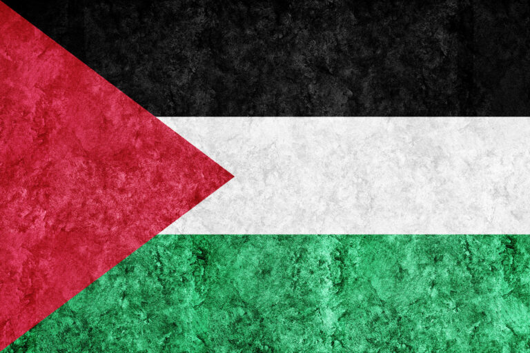 Lire la suite à propos de l’article Le handicap (et l’autisme) dans l’occupation de la Palestine